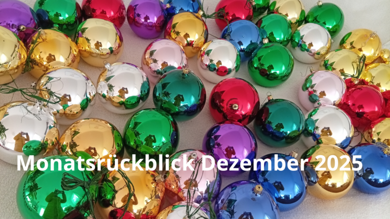 Monatsrückblick Dezember 2025